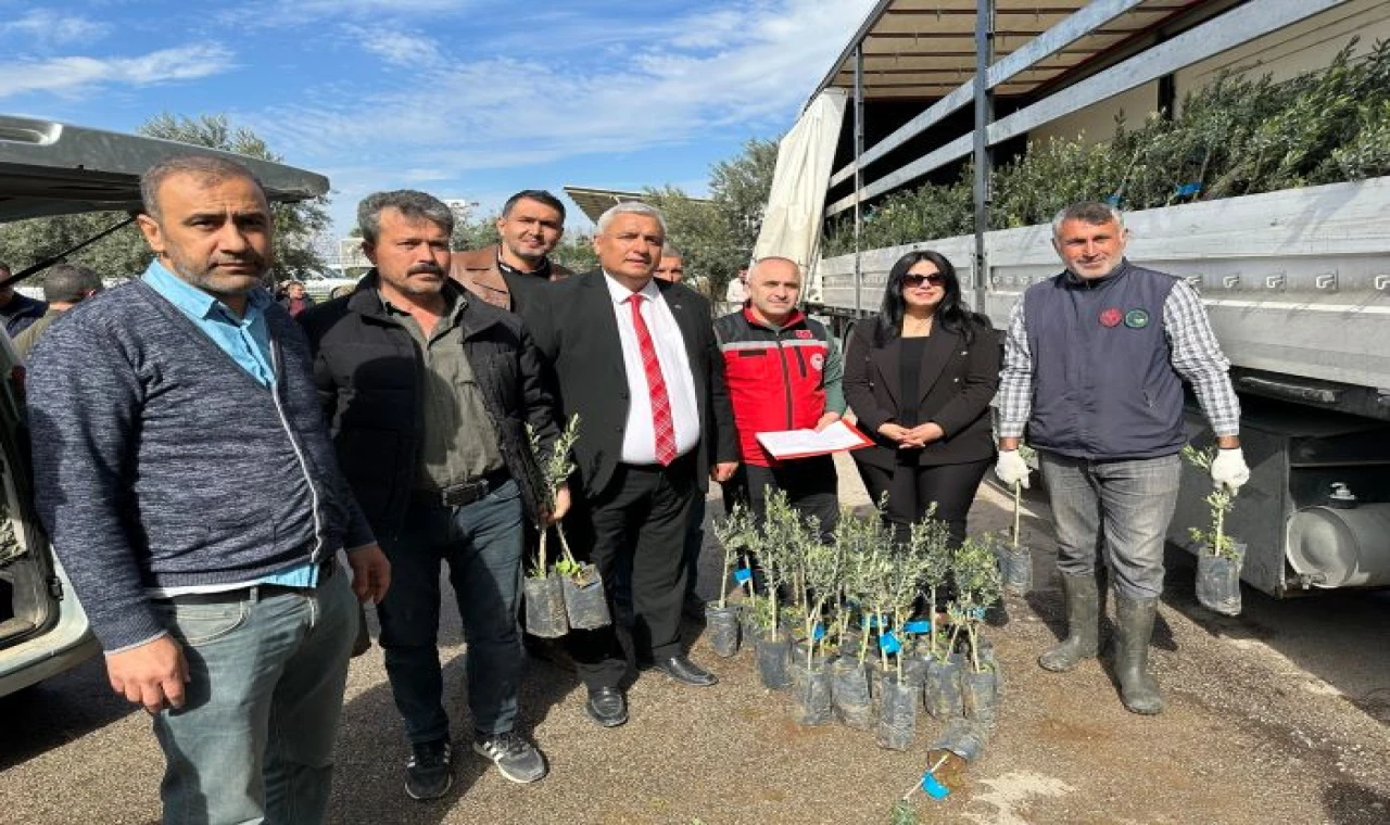 TAKEP Projesi kapsamında zeytin fidanı dağıtıldı