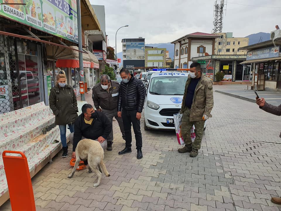 Düziçi Belediyesi Sokak Hayvanlarını Unutmadı