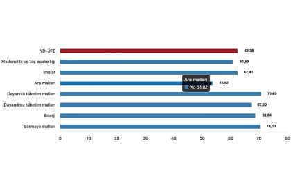Yurt Dışı Üretici Fiyat Endeksi (YD-ÜFE) yıllık %62,38 arttı, aylık %2,38 arttı