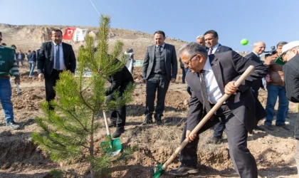 Bakanlık ve ile Büyükşehir Belediyesi’nden Erciyes’te ağaçlandırma töreni