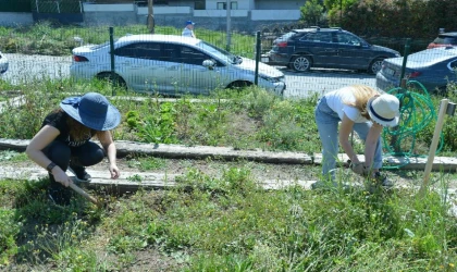 İstanbul’da hobi bahçeleriyle sahipleriyle buluştu