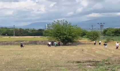 Düziçi'nde Çiftçinin 1 yıllık emeği kül oldu.