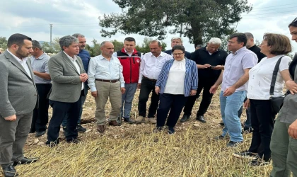 Derya Yanık Kadirli’de: Hasar Gören Tarım Alanları İçin Acil Destek Sözü