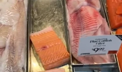 ABD’deki marketlerde "boyalı" somon satışı artıyor!