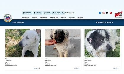 Sıcak Yuvalara Dijital Köprü: E-Pati Kemalpaşa