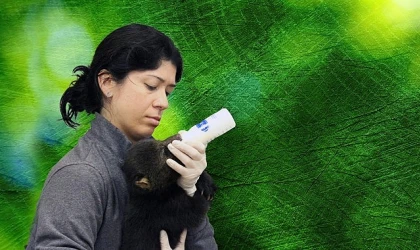 &apos;Tampa’nın Sırları: Vahşi Taraf’, 5 Mayıs Pazartesi Günü 20.00’de National Geographic WILD Ekranlarında!