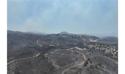 Seferihisar ve Menderes yangınlarının bilançosu ağır