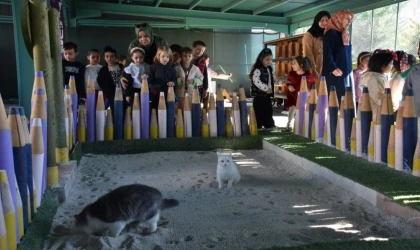 Kayseri Kocasinan’da can dostlar için özel kasaba